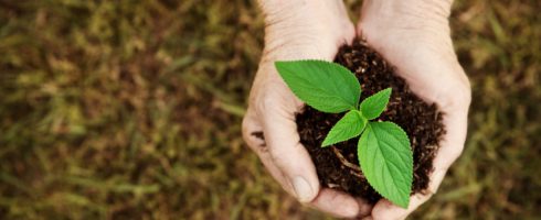 5 Little Changes You Can Make to Help the Environment