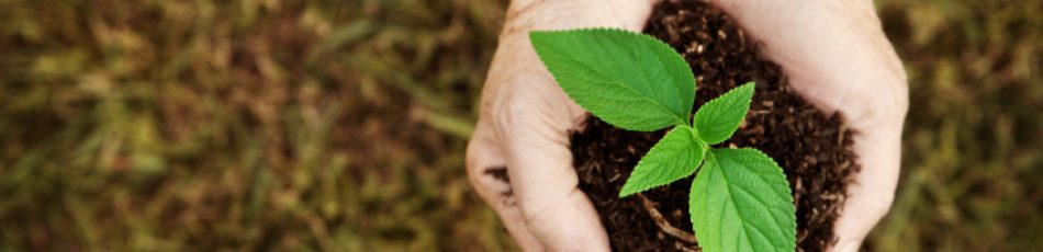 5 Little Changes You Can Make to Help the Environment