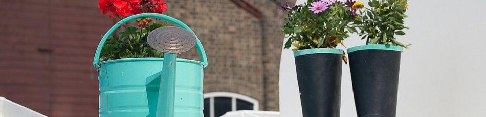 How to Reduce, Reuse, Recycle: Be Less Wasteful in 2024